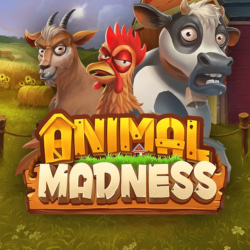 Animal Madness